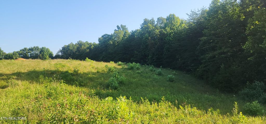 Photo of Fairview Rd, Huntsville, TN 37756 (MLS # 1308491)