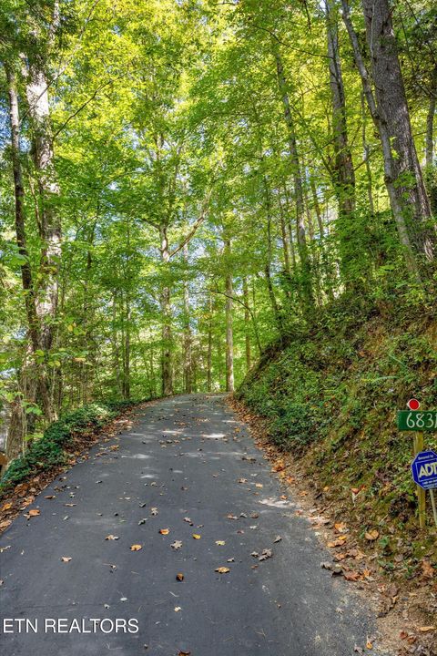 Tiny photo for 6831 Old Walland Hwy, Townsend, TN 37882 (MLS # 1317831)