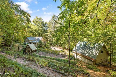 Tiny photo for 6831 Old Walland Hwy, Townsend, TN 37882 (MLS # 1317831)