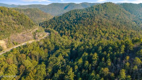Tiny photo for 6831 Old Walland Hwy, Townsend, TN 37882 (MLS # 1317831)