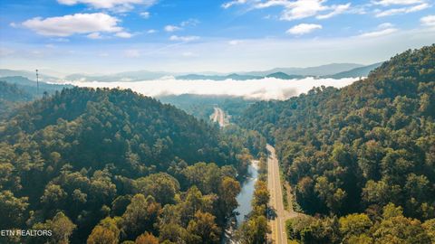 Tiny photo for 6831 Old Walland Hwy, Townsend, TN 37882 (MLS # 1317831)