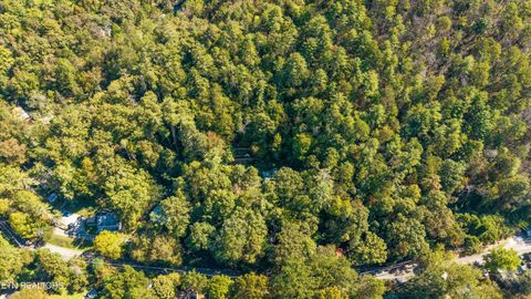 Tiny photo for 6831 Old Walland Hwy, Townsend, TN 37882 (MLS # 1317831)