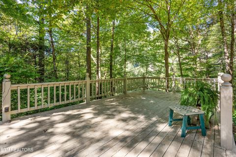 Tiny photo for 6831 Old Walland Hwy, Townsend, TN 37882 (MLS # 1317831)