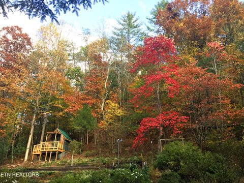 Tiny photo for 6831 Old Walland Hwy, Townsend, TN 37882 (MLS # 1317831)
