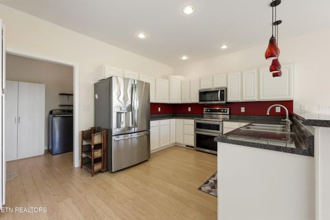 Tiny photo for 151 Ruth Lane, Sevierville, TN 37862 (MLS # 1341065)