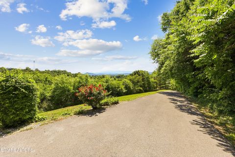 Tiny photo for 151 Ruth Lane, Sevierville, TN 37862 (MLS # 1341065)