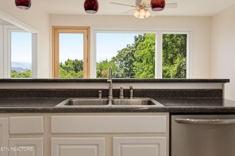 Tiny photo for 151 Ruth Lane, Sevierville, TN 37862 (MLS # 1341065)