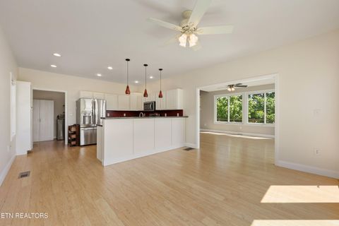 Tiny photo for 151 Ruth Lane, Sevierville, TN 37862 (MLS # 1341065)