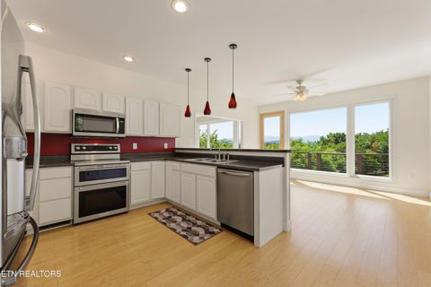 Tiny photo for 151 Ruth Lane, Sevierville, TN 37862 (MLS # 1341065)