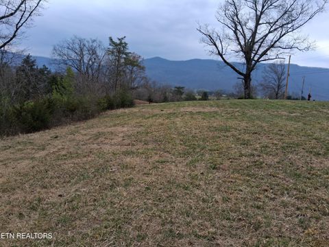 Tiny photo for Wagon Lane, Speedwell, TN 37870 (MLS # 1334606)