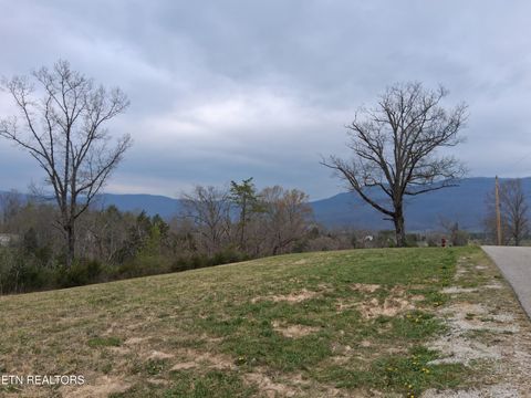 Tiny photo for Wagon Lane, Speedwell, TN 37870 (MLS # 1334606)