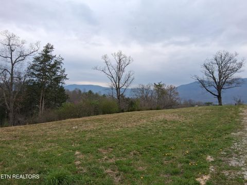 Tiny photo for Wagon Lane, Speedwell, TN 37870 (MLS # 1334606)
