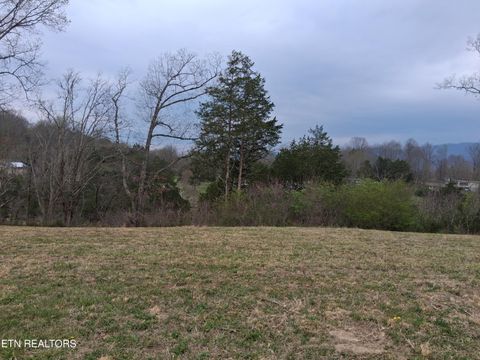 Tiny photo for Wagon Lane, Speedwell, TN 37870 (MLS # 1334606)