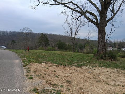 Tiny photo for Wagon Lane, Speedwell, TN 37870 (MLS # 1334606)