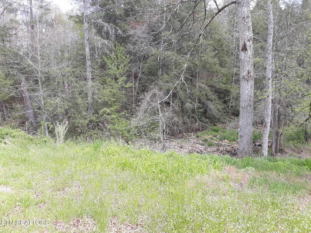 Photo of 5054 Mount Helen Rd, Allardt, TN 38504 (MLS # 1319779)