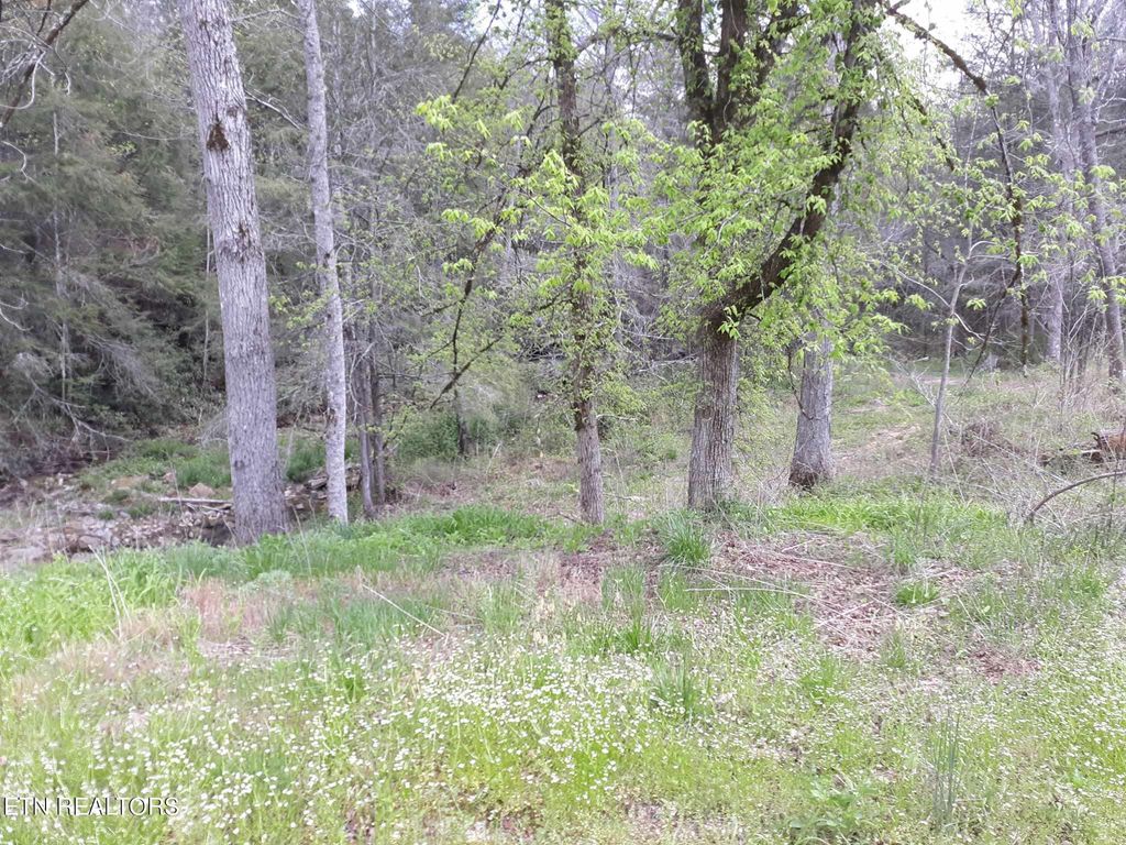 Photo of 5054 Mount Helen Rd, Allardt, TN 38504 (MLS # 1319779)