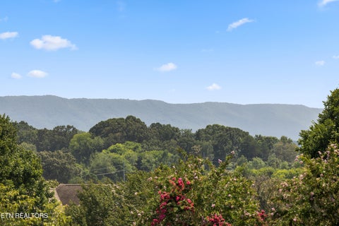 Tiny photo for 2733 Raylee Drive, Maryville, TN 37803 (MLS # 1350064)