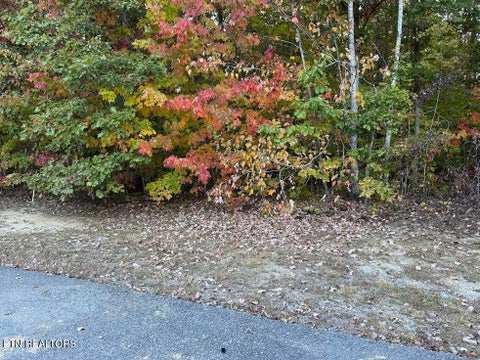Photo of 0 Laurens Lane, Grimsley, TN 38565 (MLS # 1359955)