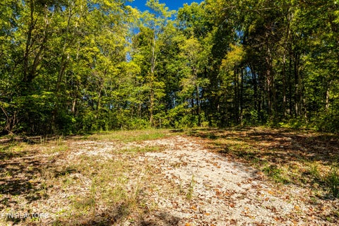 Tiny photo for 1231 Bowman Valley Rd, Knoxville, TN 37920 (MLS # 1360041)