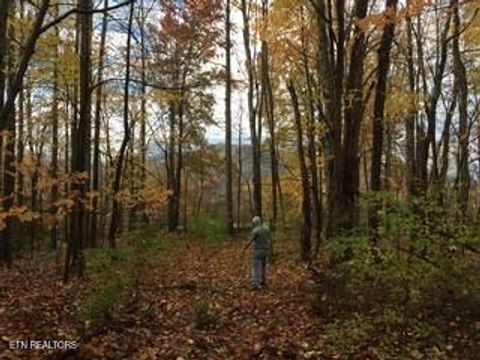 Tiny photo for Mountain Laurel Way, Cosby, TN 37722 (MLS # 1321486)