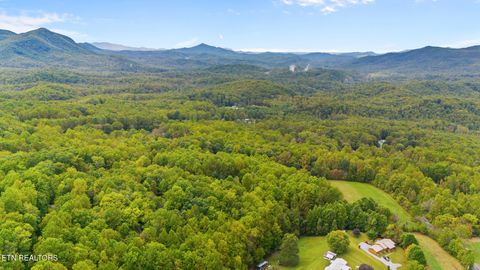 Tiny photo for Mountain Laurel Way, Cosby, TN 37722 (MLS # 1321486)