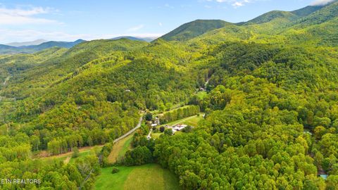 Tiny photo for Mountain Laurel Way, Cosby, TN 37722 (MLS # 1321486)