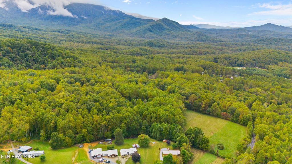 Photo of Mountain Laurel Way Way, Cosby, TN 37722 (MLS # 1321486)