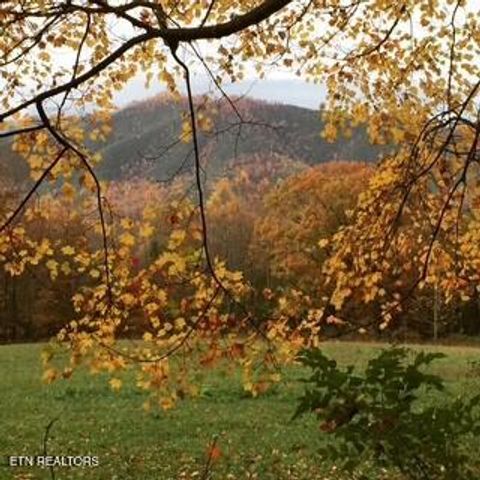 Tiny photo for Mountain Laurel Way, Cosby, TN 37722 (MLS # 1321486)