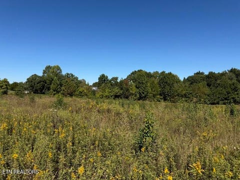 Tiny photo for 5050 Fire Fly Lane, Cookeville, TN 38506 (MLS # 1357304)