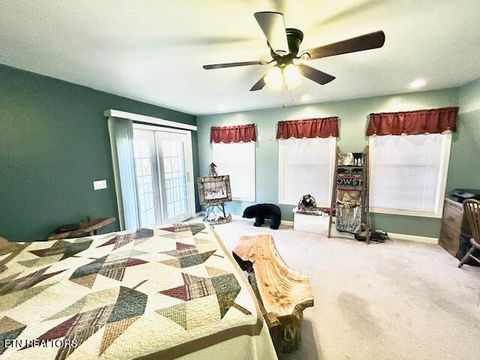 Tiny photo for 5987 Hopi Way, Del Rio, TN 37727 (MLS # 1337963)