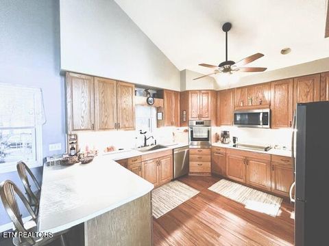 Tiny photo for 5987 Hopi Way, Del Rio, TN 37727 (MLS # 1337963)