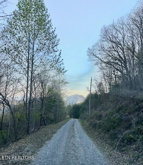 Tiny photo for 5987 Hopi Way, Del Rio, TN 37727 (MLS # 1337963)