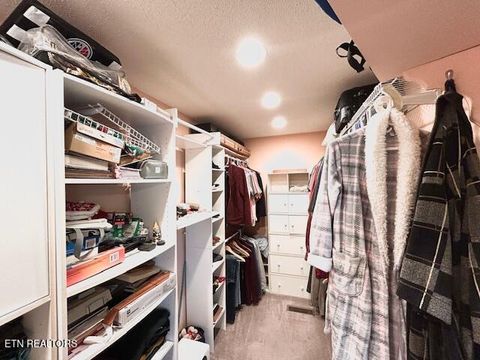 Tiny photo for 5987 Hopi Way, Del Rio, TN 37727 (MLS # 1337963)