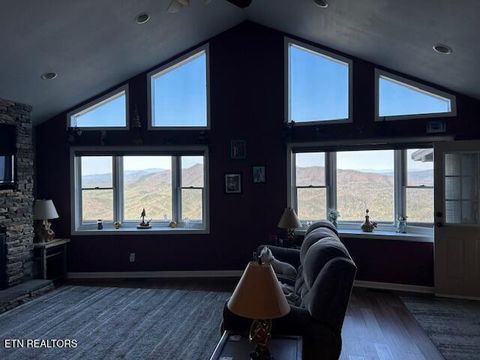 Tiny photo for 5987 Hopi Way, Del Rio, TN 37727 (MLS # 1337963)