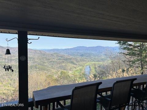 Tiny photo for 5987 Hopi Way, Del Rio, TN 37727 (MLS # 1337963)