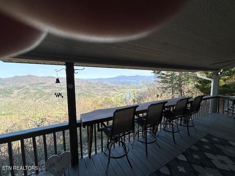 Tiny photo for 5987 Hopi Way, Del Rio, TN 37727 (MLS # 1337963)