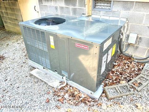 Tiny photo for 5987 Hopi Way, Del Rio, TN 37727 (MLS # 1337963)