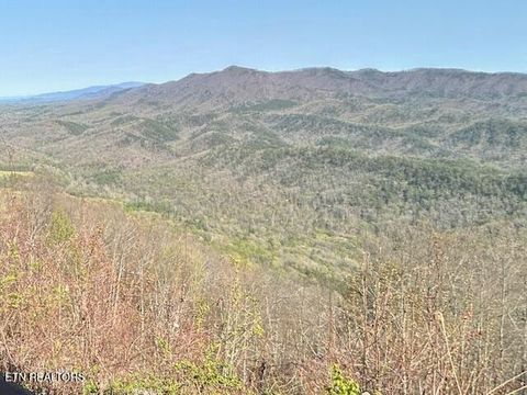 Tiny photo for 5987 Hopi Way, Del Rio, TN 37727 (MLS # 1337963)