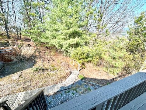 Tiny photo for 5987 Hopi Way, Del Rio, TN 37727 (MLS # 1337963)