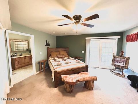 Tiny photo for 5987 Hopi Way, Del Rio, TN 37727 (MLS # 1337963)