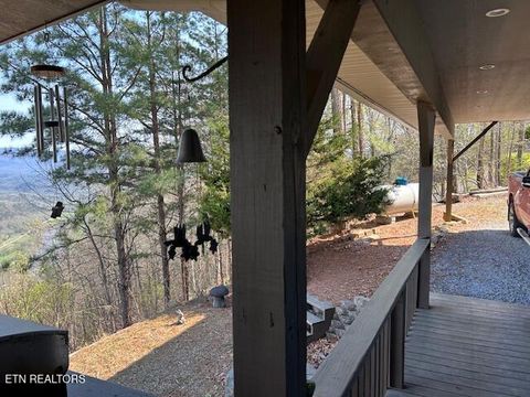 Tiny photo for 5987 Hopi Way, Del Rio, TN 37727 (MLS # 1337963)