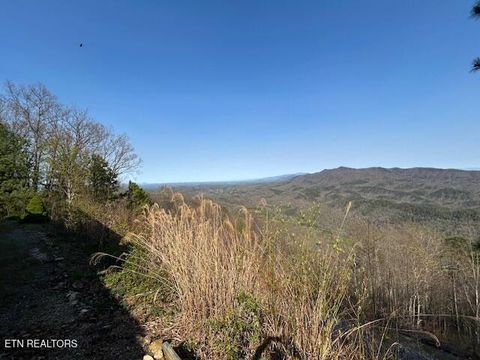 Tiny photo for 5987 Hopi Way, Del Rio, TN 37727 (MLS # 1337963)