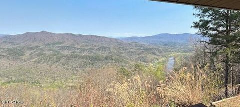 Tiny photo for 5987 Hopi Way, Del Rio, TN 37727 (MLS # 1337963)