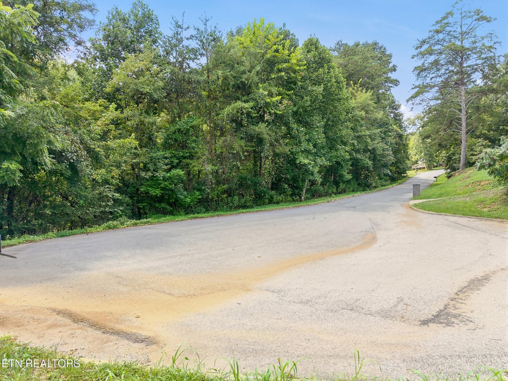 Photo of Catherine Crisp Drive, Kodak, TN 37764 (MLS # 1353741)