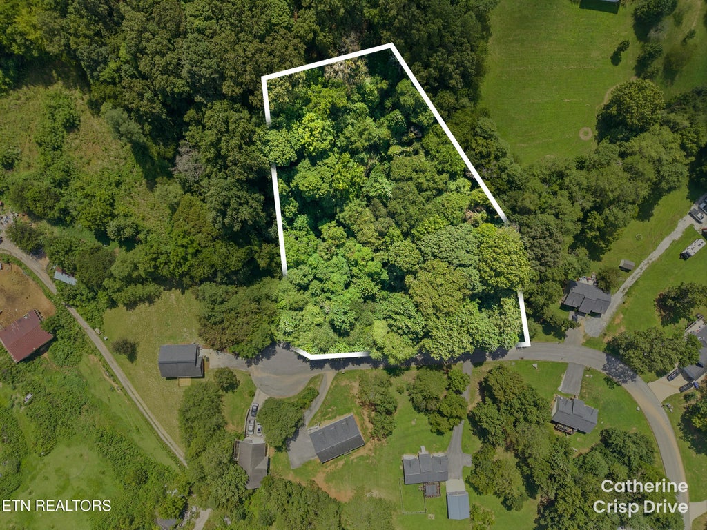 Photo of Catherine Crisp Drive, Kodak, TN 37764 (MLS # 1353741)