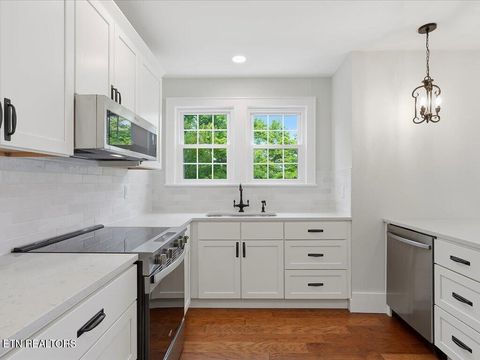 Tiny photo for 814 E Jefferson St, Jefferson City, TN 37760 (MLS # 1343108)