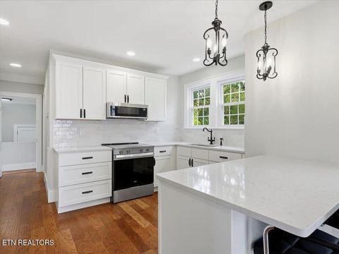 Tiny photo for 814 E Jefferson St, Jefferson City, TN 37760 (MLS # 1343108)