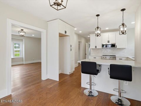 Tiny photo for 814 E Jefferson St, Jefferson City, TN 37760 (MLS # 1343108)