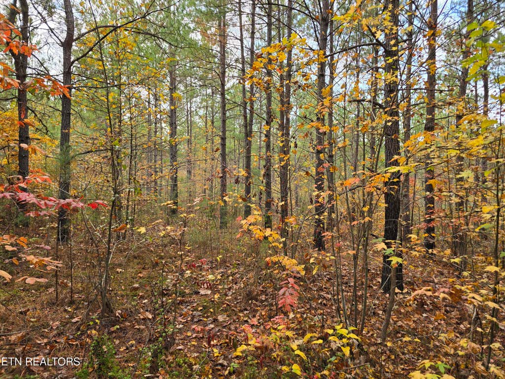 Photo of 5 W Robbins Rd, Robbins, TN 37852 (MLS # 1282223)