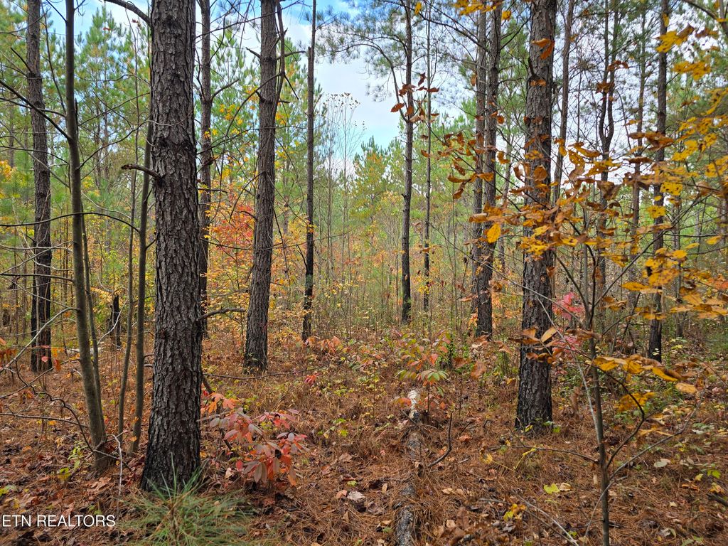 Photo of 5 W Robbins Rd, Robbins, TN 37852 (MLS # 1282223)